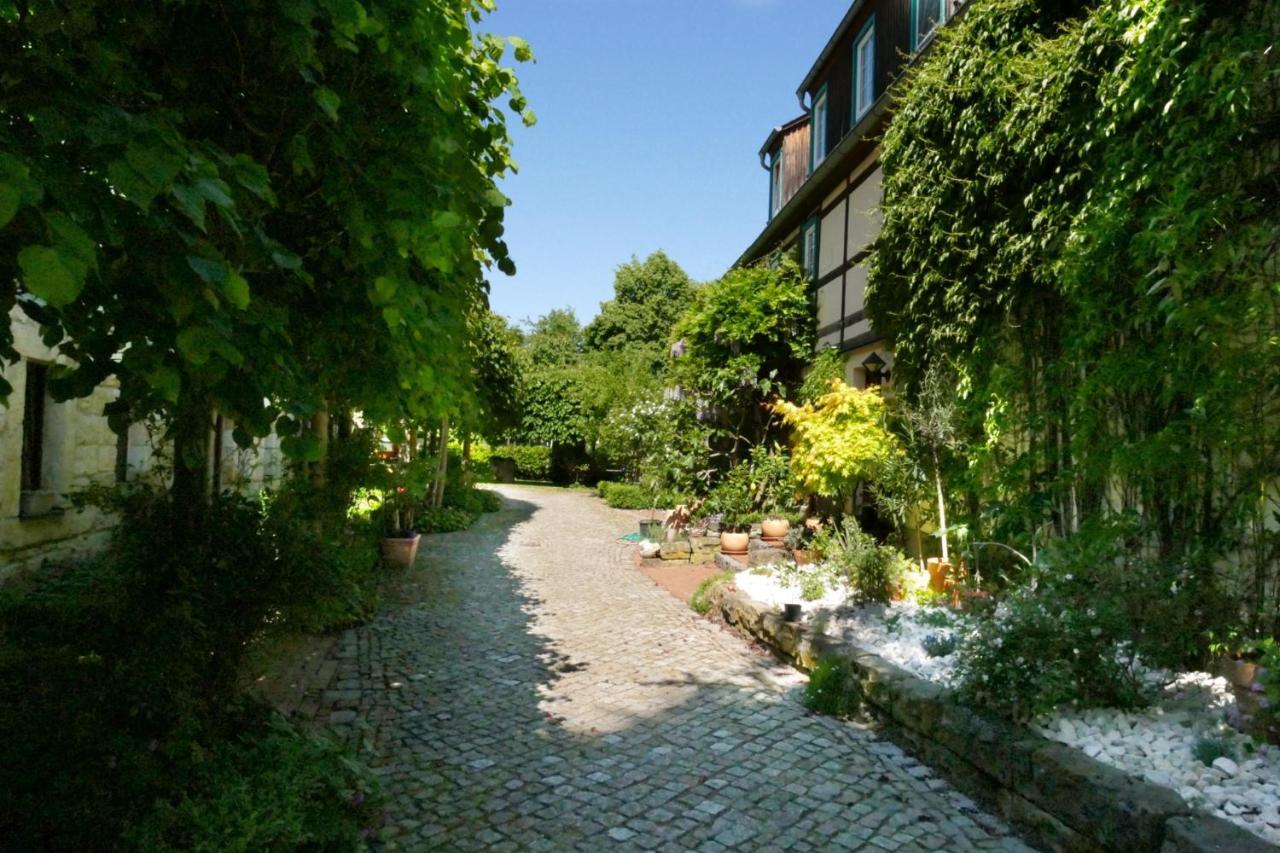 No.5 - Ferienwohnung Schkade Kleingiesshubel Екстериор снимка
